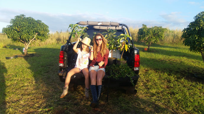 Women in Agriculture