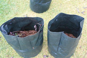 container growing potatoes