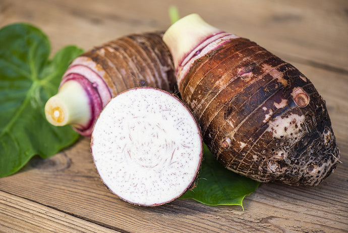 Independent Island Foods: Mastering Food Science to Make Indigenous Plants More Accessible