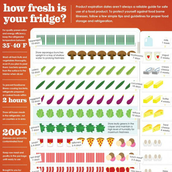 simple tips and guildeines for proper food storage and refrigeration