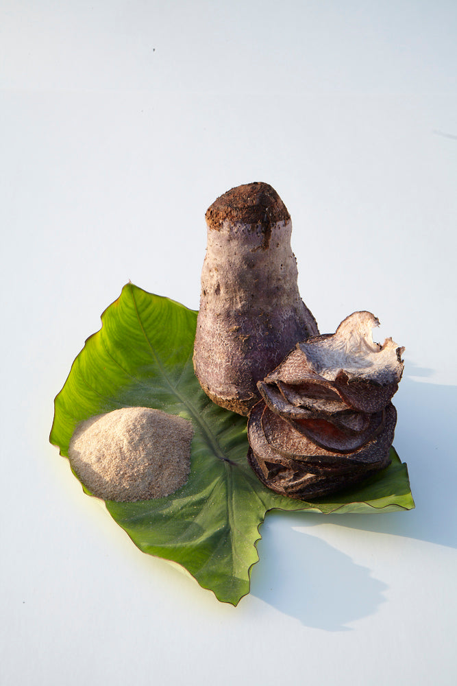 Taro