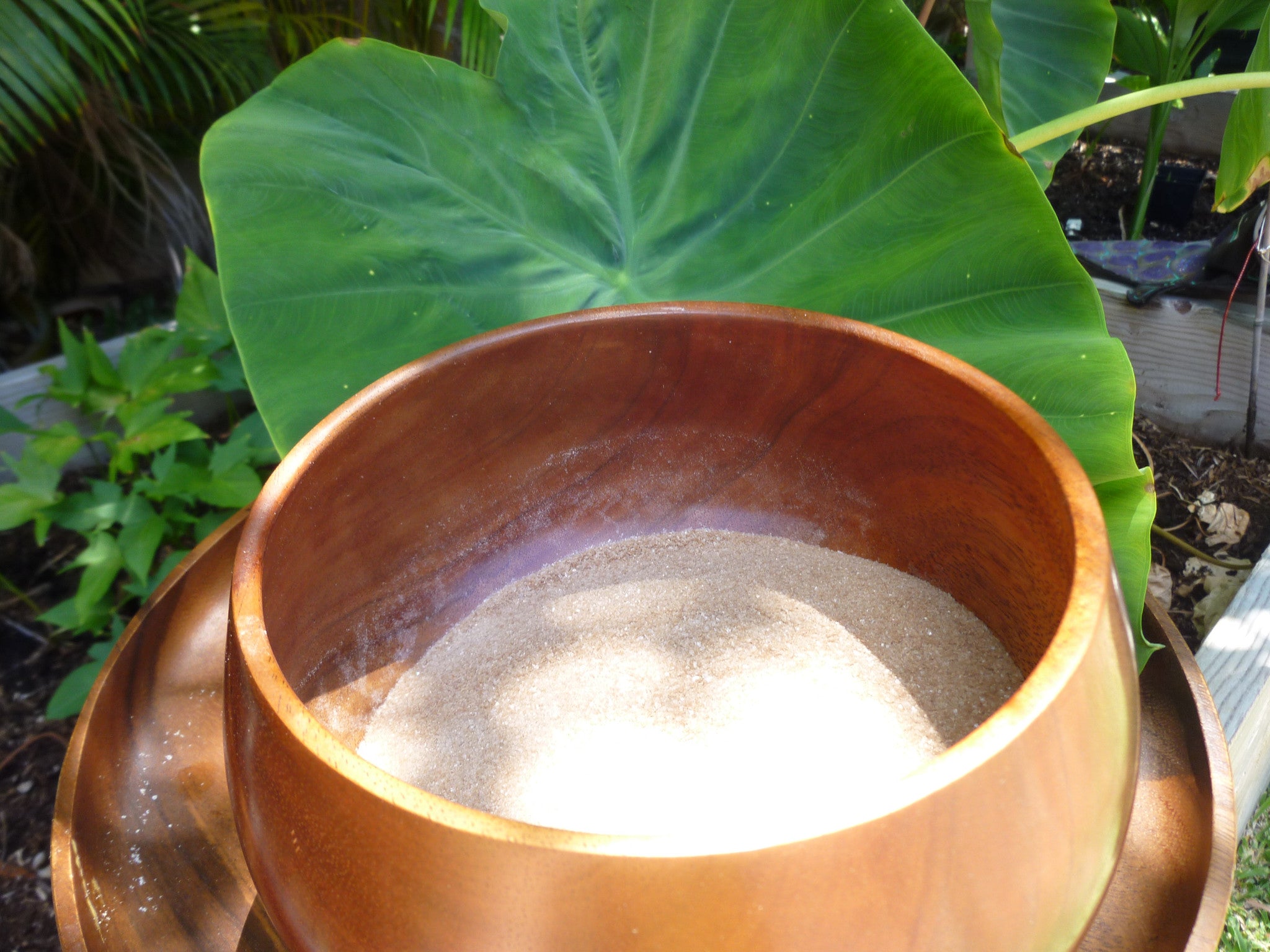 Ancestral Taro Powder β Voyaging Foods